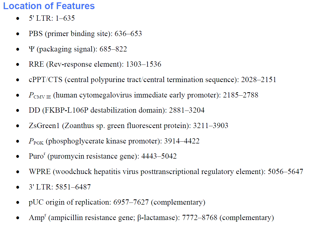 pLVX-DD-ZsGreen1 Control 载体特征